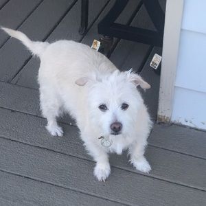 Meet your Posher, Raquel